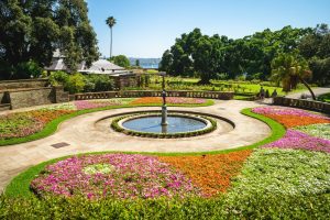 Spring flowers in bloom around the fountain at the Royal Botanic Gardens, Sydney.