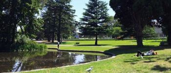 Cheap Carlton Gardens parking