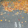 Driveway parking on Alma Road in St Kilda Victoria