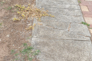 Hoppers Crossing - Great Driveway Parking Near Train Station #1