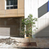 Indoor lot parking on Berry Street in North Sydney New South Wales