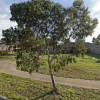 Outside parking on Blue Gum Drive in Brookfield Victoria