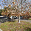 Driveway parking on Boona Court in Karawara Western Australia Driveway parking on Boona Court in Karawara Western Australia