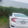 Outdoor lot parking on Butterfield Street in Herston Queensland