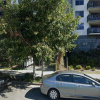 Undercover parking on Charlotte Street in Chermside Queensland Undercover parking on Charlotte Street in Chermside Queensland
