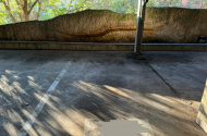 Undercover parking space near North Sydney CBD