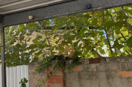 Rosewater - Safe Carport near Bus Stops for Boat or Car Parking/Storage