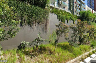 Car parking space Zetland