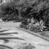 Driveway parking on Fairlight Street in Manly New South Wales