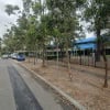 Undercover parking on Figtree Drive in Sydney Olympic Park New South Wales