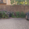 Outside parking on Florence Street in Goodwood South Australia