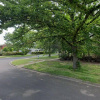 Driveway parking on Froggatt Street in Turner Australian Capital Territory