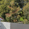 Driveway parking on -Hobart Road in Breadalbane Tasmania