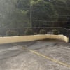 Outdoor lot parking on Hume Street in Wollstonecraft New South Wales