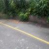 Outdoor lot parking on Ithaca Road in Elizabeth Bay New South Wales