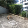 Outdoor lot parking on Keats Avenue in Rockdale New South Wales