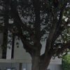 Outside parking on Kings Park Road in West Perth