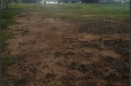 Horsley Park - Secure Open Land Space close to M7
