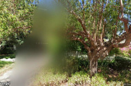 Nedlands - Driveway Parking Close to Stirling Highway Bus Stop