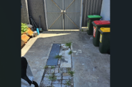 Glebe -Safe Driveway Parking close to Tramsheds #1