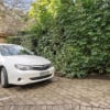 Driveway parking on Mcdougall Street in Kirribilli New South Wales