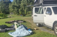 Long term parking if needed