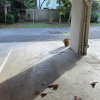 Carport parking on Pacific Parade in Bilinga Queensland