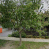 Indoor lot parking on Poplar Street in Box Hill Victoria