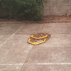 Outdoor lot parking on Queens Lane in Melbourne