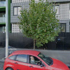 Lock up garage parking on Rathdowne Street in Carlton Victoria