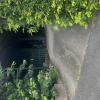 Carport parking on Sheriff Street in Petrie Terrace Queensland