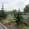 Indoor lot parking on Whiteman Street in Southbank Victoria