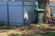 Backyard , grass car park