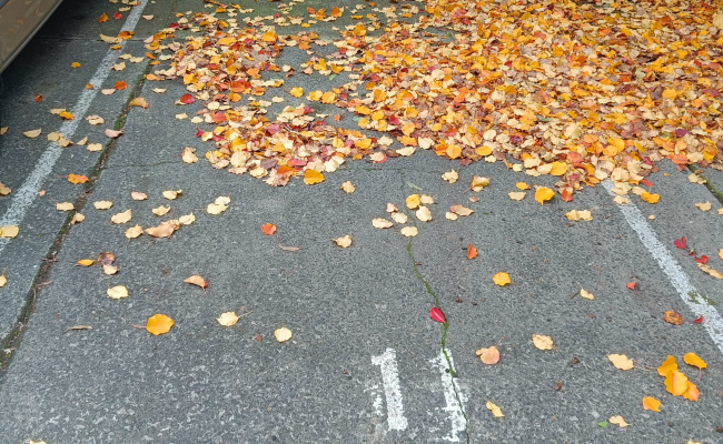 Car parking space at St Kilda