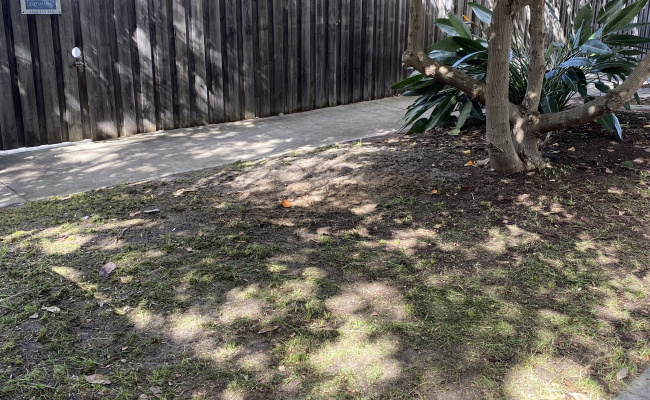 Verge parking less than 1km from hospitals - SCGH, PCH, Hollywood