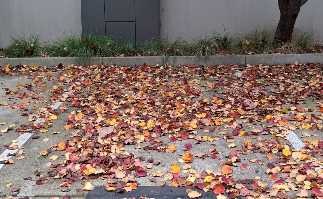 Outdoor lot parking on Altona Street in Kensington Victoria