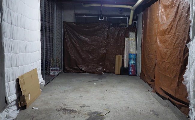 Secure Indoor Garage near UNSW (2 mins) and Light Rail (5 mins)