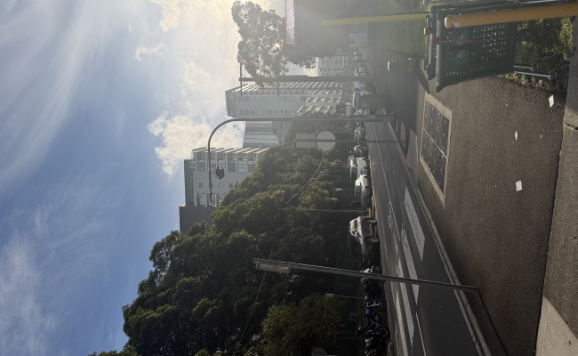 Wolli Creek Parking - 7mins walk to Wolli Creek station, near int & domestic airport!