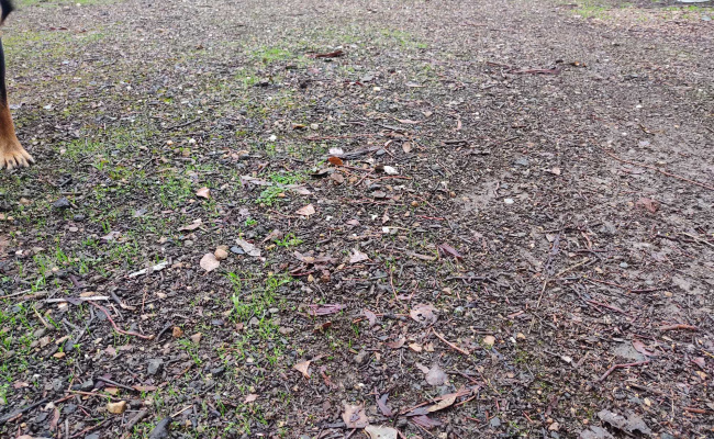 Plenty of storage space with good access available in yarrambat