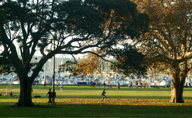Parking space in Rushcutters Bay, close to CBD