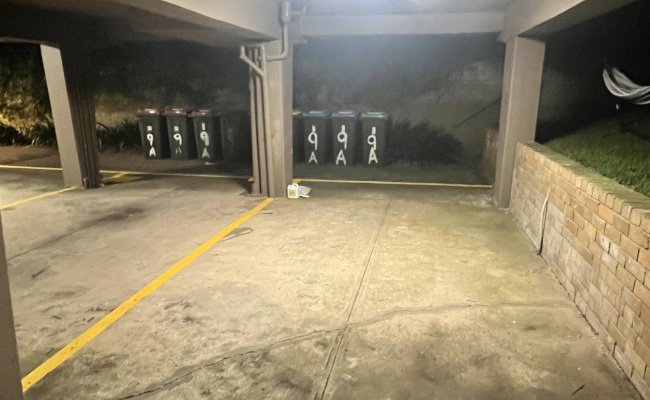 Bondi Road Parking Spot