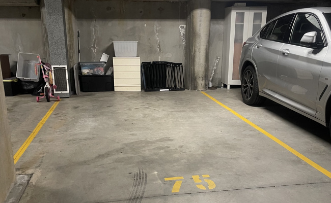Chippendale Broadway parking spot!