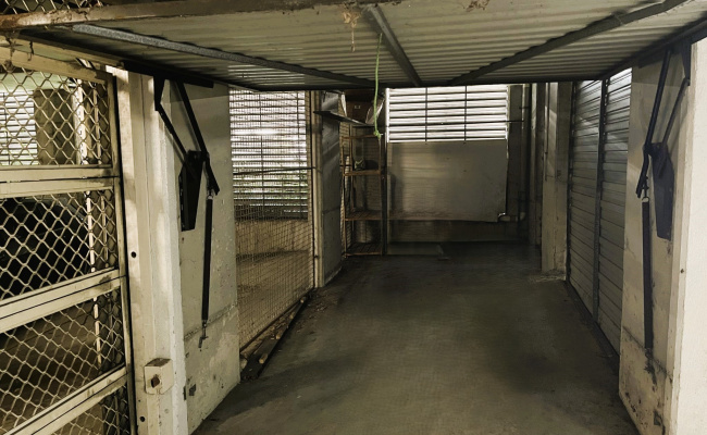 Great secured carpark in the heart of the city