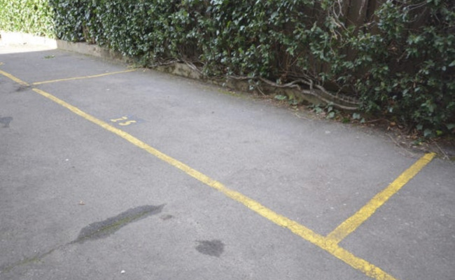 Centennial Park - Handy Space 5min Walk to 333 Bus in Oxford Street