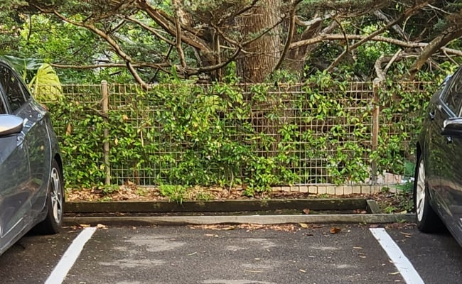 Outside private parking lot space located in Centennial Park / Paddington