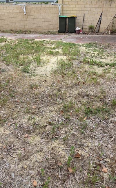Near Hospitals, QEII Medical Centre, Nedlands