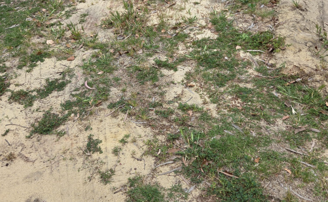 Near Hospitals, QEII Medical Centre, Nedlands