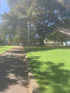 Great secure outdoor parking space, in the heart of Balmain's schools, shopping, pubs & cafes.