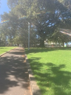Great secure outdoor parking space, in the heart of Balmain's schools, shopping, pubs & cafes.