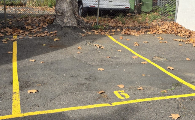 Balmain Village Parking Steps to Ferry & Shops